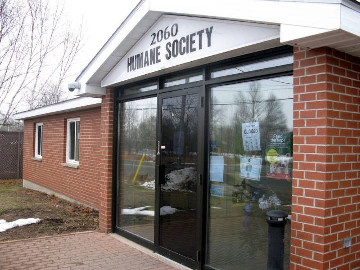 North Bay Humane Society temporarily not accepting any new dogs