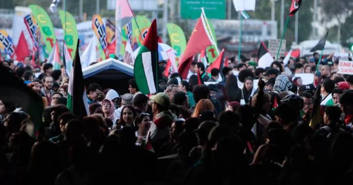 Caos vial y actos vandálicos dejaron manifestaciones por Palestina en Bogotá