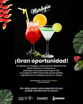 Esta es la convocatoria gratuita de la Gobernación del Valle
