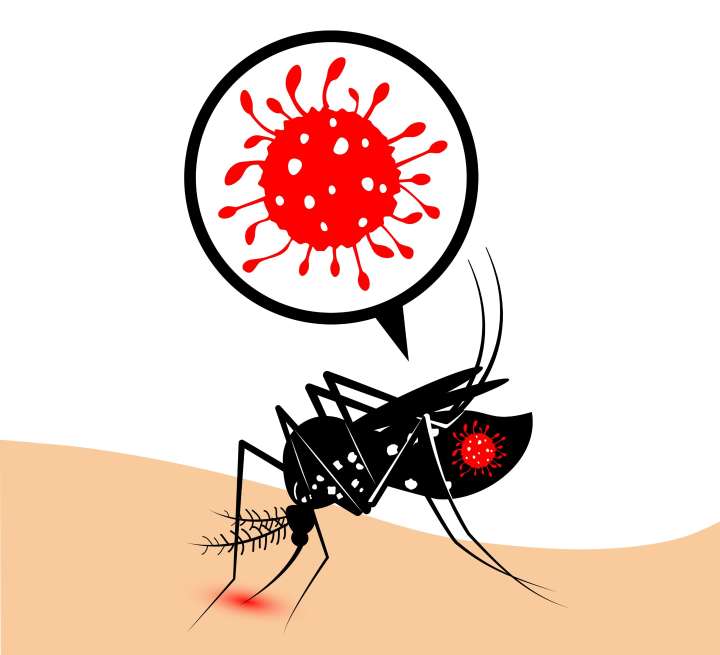 Los funcionarios de Louisville Metro Health alertan al público sobre el aumento de casos del virus del Nilo Occidental