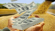 Alerta en el mercado: el Tesoro ya habría vendido el 60% de los dólares que compró ante la liquidación del agro