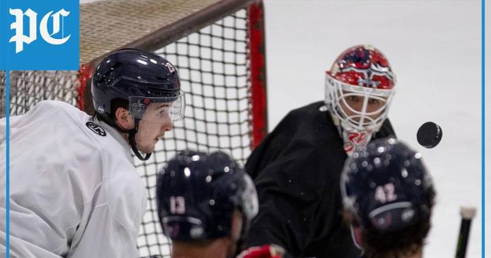 South Carolina Stingrays hockey practice ahead of season