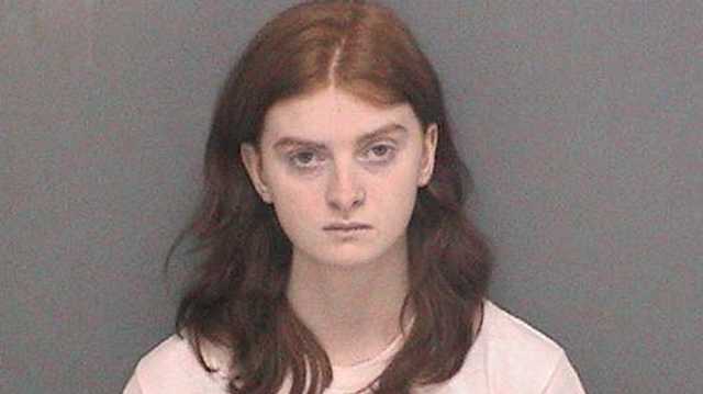 Indiana teen accused of planning mass school shooting takes plea deal