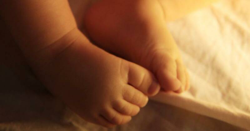 Six-week-old Priya set to impact 'countless lives'