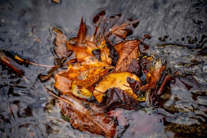 Rain and possible thunder in Portland Sunday, chances of snow in the Cascades
