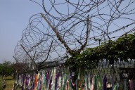 North Korean Soldier Defects to South Despite Kim’s Border Walls