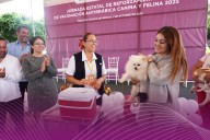 Edoméx lanza campaña masiva de vacunación antirrábica para lomitos y michis