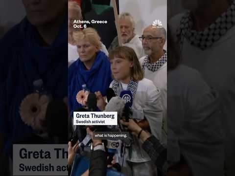 Greta Thunberg condemns Israel, says she 'can't comprehend how humans can be so evil'