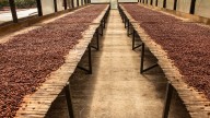 Foro Colombia Rural 2025: transformación del agro colombiano