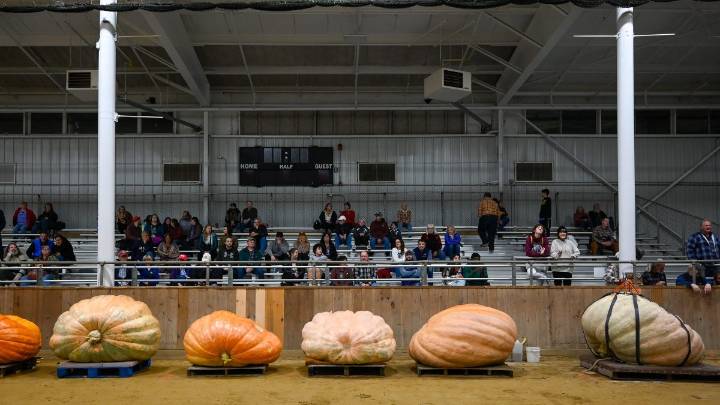 Topsfield Fair giant pumpkin record set