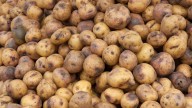 Why Potatoes Develop Dark Spots