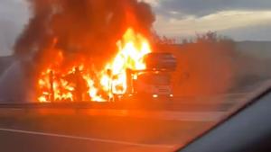 Dramatic video shows 9 electric cars ablaze on back of truck