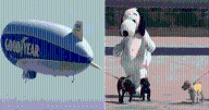 Goodyear Blimp Flies with Future Service Dogs to Celebrate Milestone Anniversaries