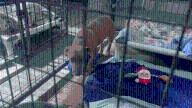 New Hope Animal Rescue gets $3,000 donation