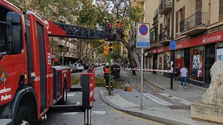 Las fuertes rachas de viento derriban ramas y obligan a cortar el tráfico en el centro de Palma