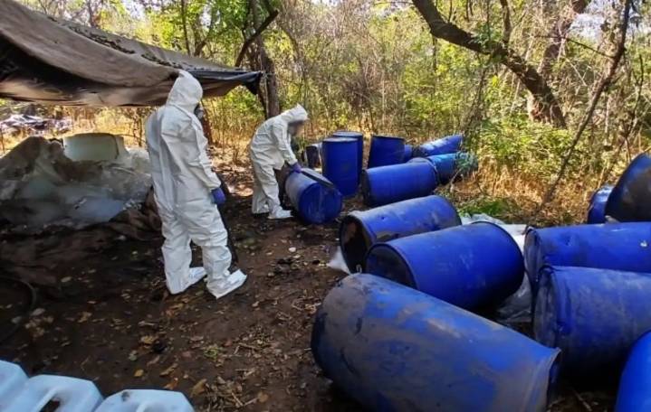 Aseguran más de 13.3 millones de dólares en drogas sintéticas en Sinaloa