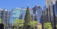 Christmas tree goes up at PPG Plaza already