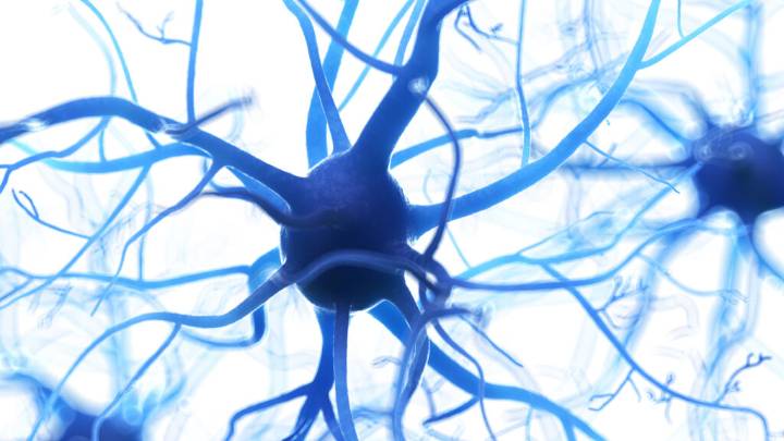 Researchers find clues linking ALS and autoimmune responses