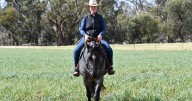Bec Bell's thriving horse training business in Lake Cargelligo