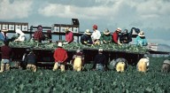 Aumentan los indocumentados en EU a 13.7 millones