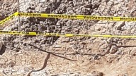 Cráneo Humano es Localizado Detrás de una Planta Procesadora de Maíz en Mexicali
