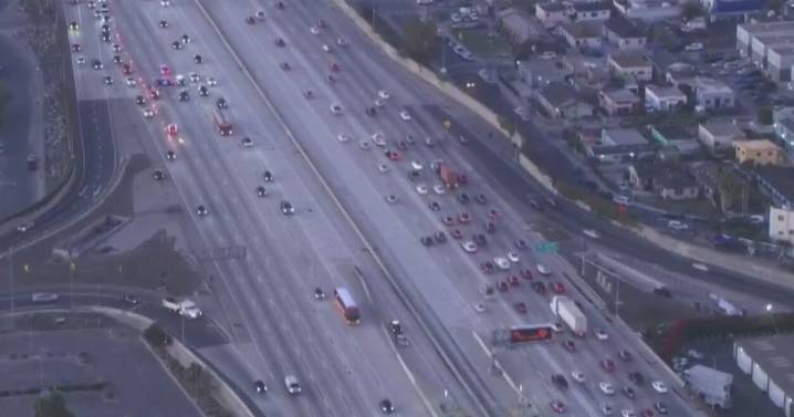Pedestrian struck and killed on the 110 Freeway in South Los Angeles