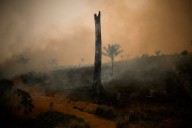 El planeta sufre el mayor aumento de CO₂ en la atmósfera desde que hay registros