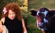 Un libro pone fin a las diferencias entre humanos y animales