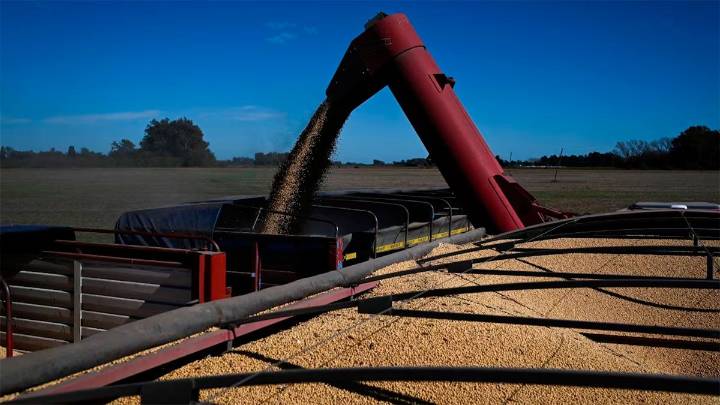 La balanza comercial arrojó un superávit de USD 900 millones en septiembre