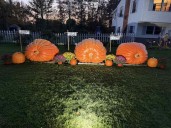 Off the Beaten Path: Jericho Giant Gourd Display