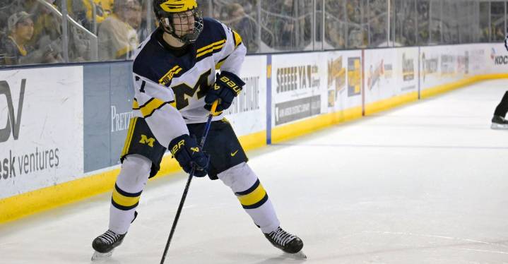 Michigan Hockey recap: Wolverines split series with WMU