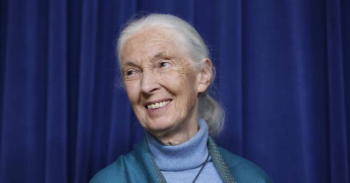 Jane Goodall, dead at 91, remembered in Canada