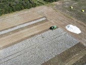 Italar, la textil de Charata en cesación de pagos, es una de una de las 20 empresas convocadas