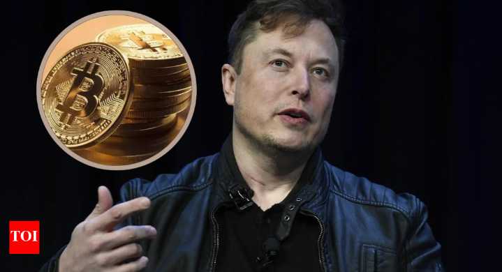 'Impossible to fake energy': Elon Musk reverses stance, now backs Bitcoin