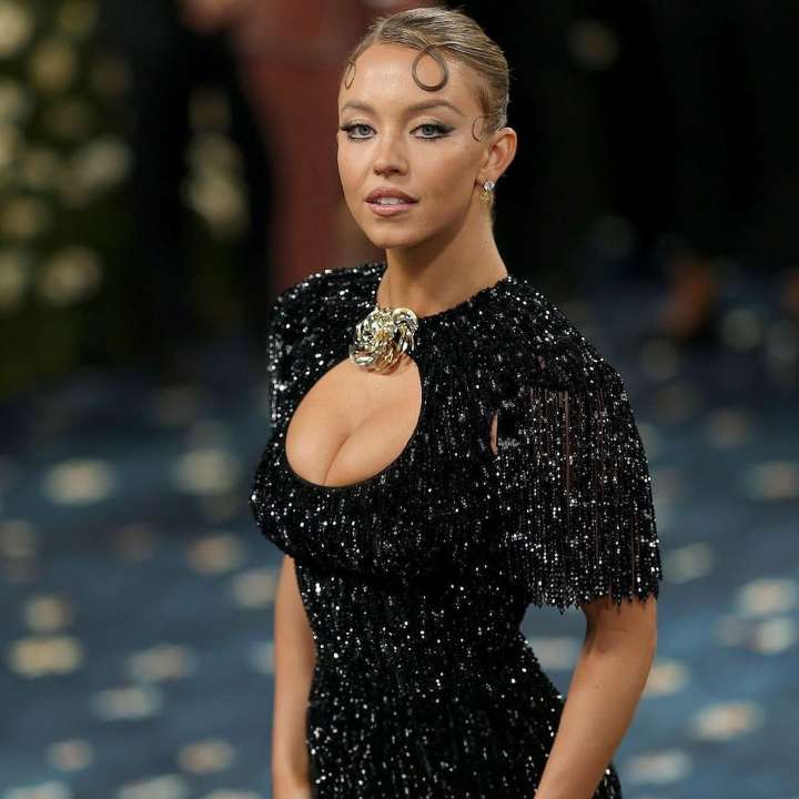 Sydney Sweeney Braless Red Carpet Look