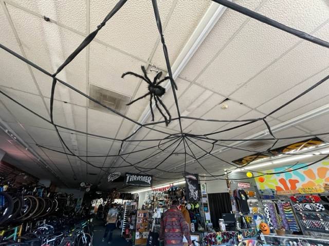 West Seattle Blog… | WEEK AHEAD: Four West Seattle community trick-or-treating events before Halloween