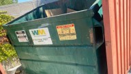 California Man Follows Cries To Dumpster And Finds A Scene He’ll Never Forget