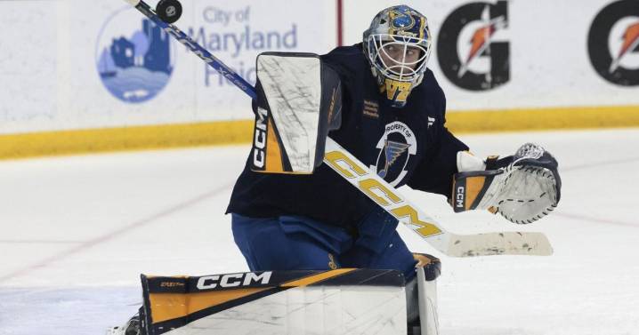 Blues sign goaltender Georgii Romanov, who could partner with Vadim Zherenko in the AHL