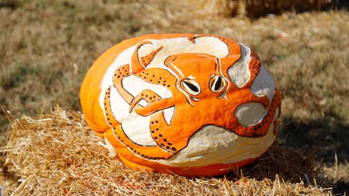 Great Pumpkin Carve of 2025 features one