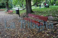 Renuevan más de 500 bancos en barrios y pedanías
