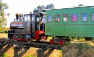 El tren histórico a vapor que sigue funcionando en Entre Ríos