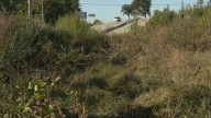 16-year-old Bonne Terre girl dies in crash while fleeing police, highway patrol says