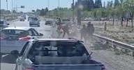 Furia en la Ruta 7: golpes, insultos y piedras plena hora pico en Neuquén