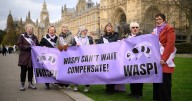 MP insists WASPI women are 'rightly owed' £3 billion compensation in fiery Commons debate
