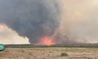 PETA urges authorities to add animal cruelty charge in Deer Creek Fire case