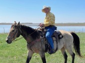 Roots matter for award-winning regenerative North Dakota ranch family