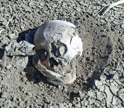 Hallan un cráneo humano a 11 kilómetros de Las Heras y se investiga su origen