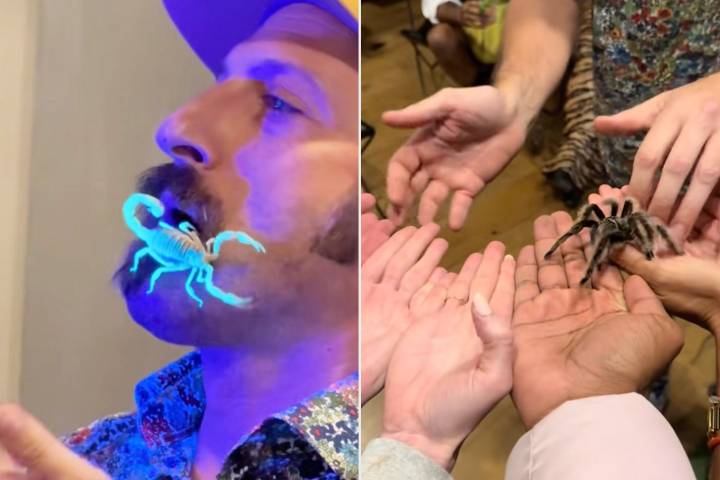 Friends Hire Bug Expert for Birthday Party (Exclusive)
