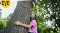 We are as strong as the forest that surrounds us