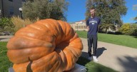 Colorado School of Mines shows off 1,579 pound pumpkin grown by student